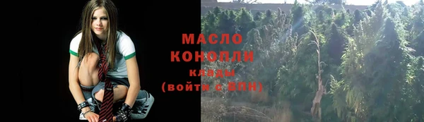 крисы Аркадак