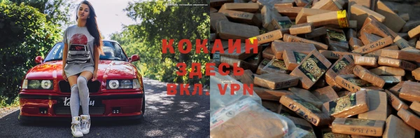 крисы Аркадак