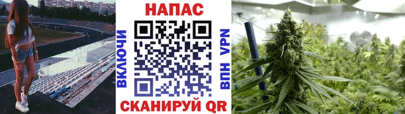 Бошки Шишки тримм  что такое наркотик  Лесосибирск 